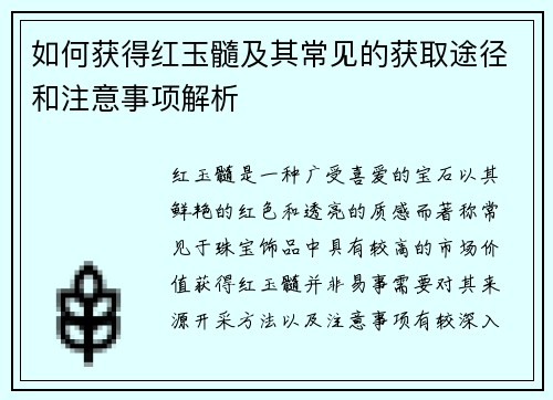 如何获得红玉髓及其常见的获取途径和注意事项解析 如何获得红玉髓及其常见的获取途径和注意事项解析
